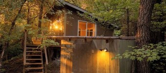 Sasquatch's Tiny Treehouse on creek - old growth forest in Portland - ADVENTURE!