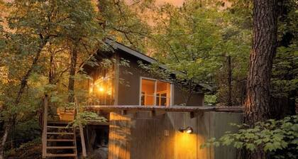 Sasquatch's Tiny Treehouse on creek - old growth forest in Portland - ADVENTURE!
