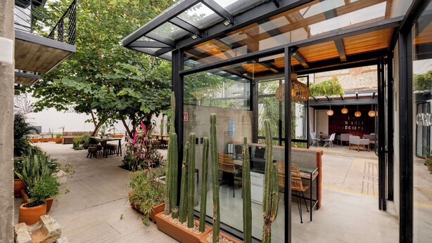 A modern outdoor seating area with planters and cacti, a glass enclosure, and a visible interior space with seating and a counter. - GARCIA 3 · Spacious four Bedroom apt with Garden (Oaxaca)