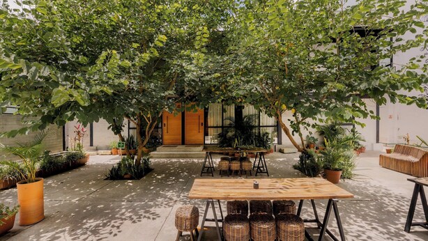 Un espace extérieur aménagé en terrasse, avec une table en bois et des chaises en osier, entouré de plantes en pot et d’un grand arbre qui offre de l’ombre.