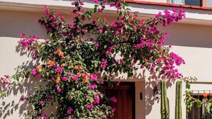 A building with a white exterior, a wooden door, and a balcony with two potted cacti. - HIDALGO 3 · Group Stay 2 Blocks from Zócalo (Oaxaca)