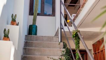 Un escalier avec une rampe en métal, un cactus dans un pot bleu et du lierre qui pousse sur les marches.