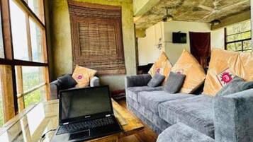 Double Room, Mountain View | Living area