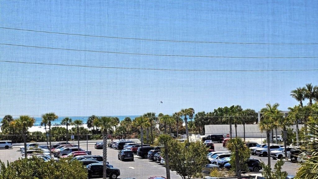 A parking lot with cars and palm trees, a clear sky, and a beach in the background.