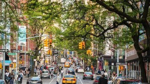 A busy urban street lined with trees and various storefronts. - Simple, Quiet & Clean w/ Workstations (New York)