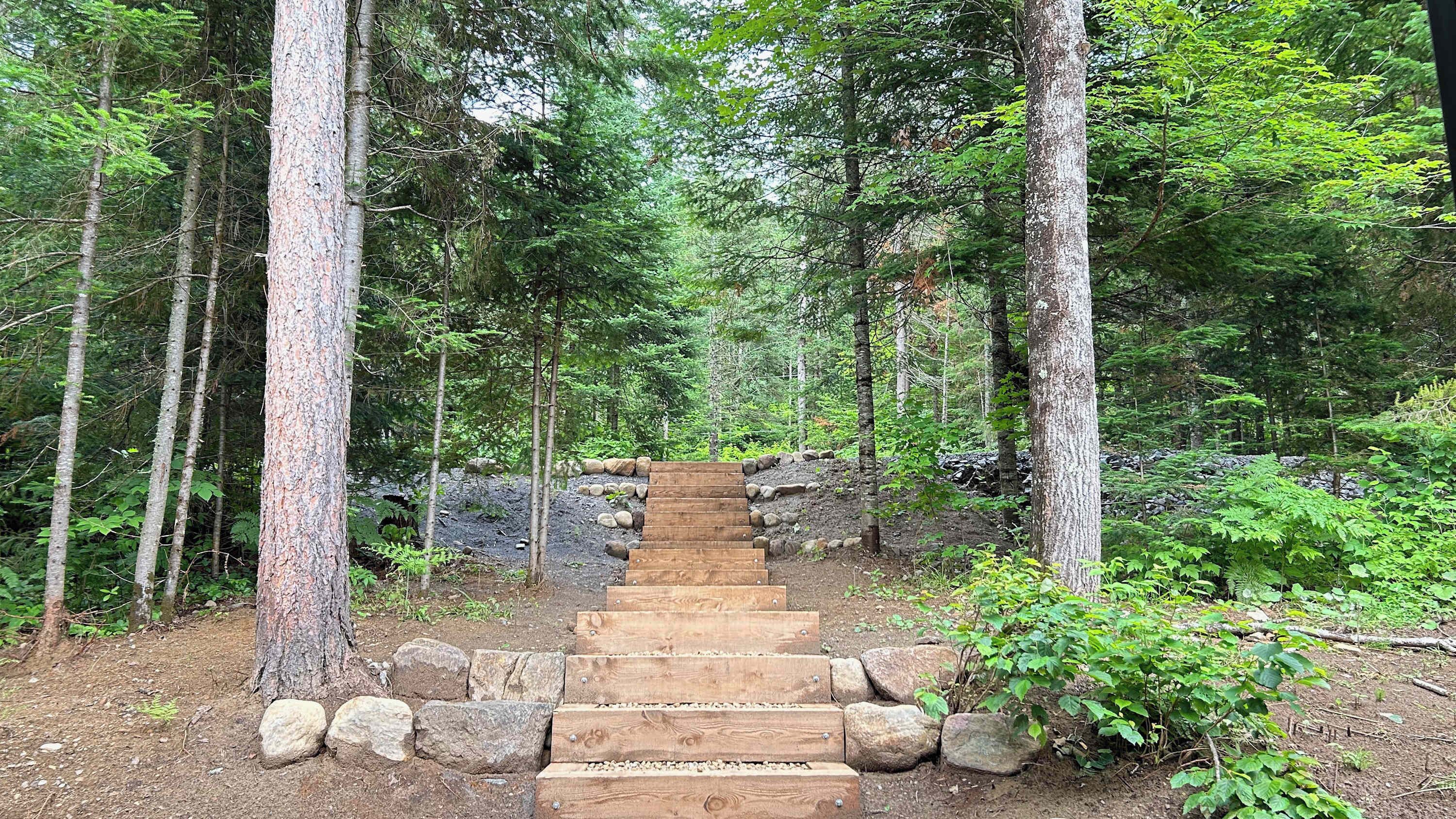 Un escalier en bois, entouré d’arbres, dans un cadre forestier.