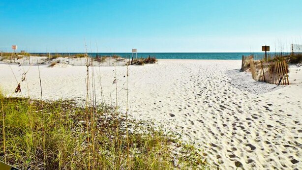 Une plage de sable, avec une végétation clairsemée et un ciel dégagé.