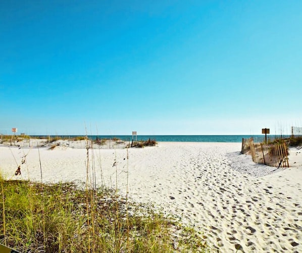 Une plage de sable, avec une végétation clairsemée et un ciel dégagé.