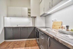 Private kitchen - Serene 2-bedroom apartment in Olomouc perfect for your stay (Olomouc)