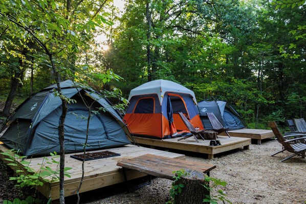 Tres tiendas de campaña montadas en un bosque, con terrazas de madera al frente.
