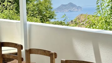 Family House, 2 Bedrooms, Kitchen, City View | Terrace/patio