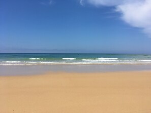 On the beach - Holiday home, !natural park, nearby Ocean, Forest, Lake (Messanges)