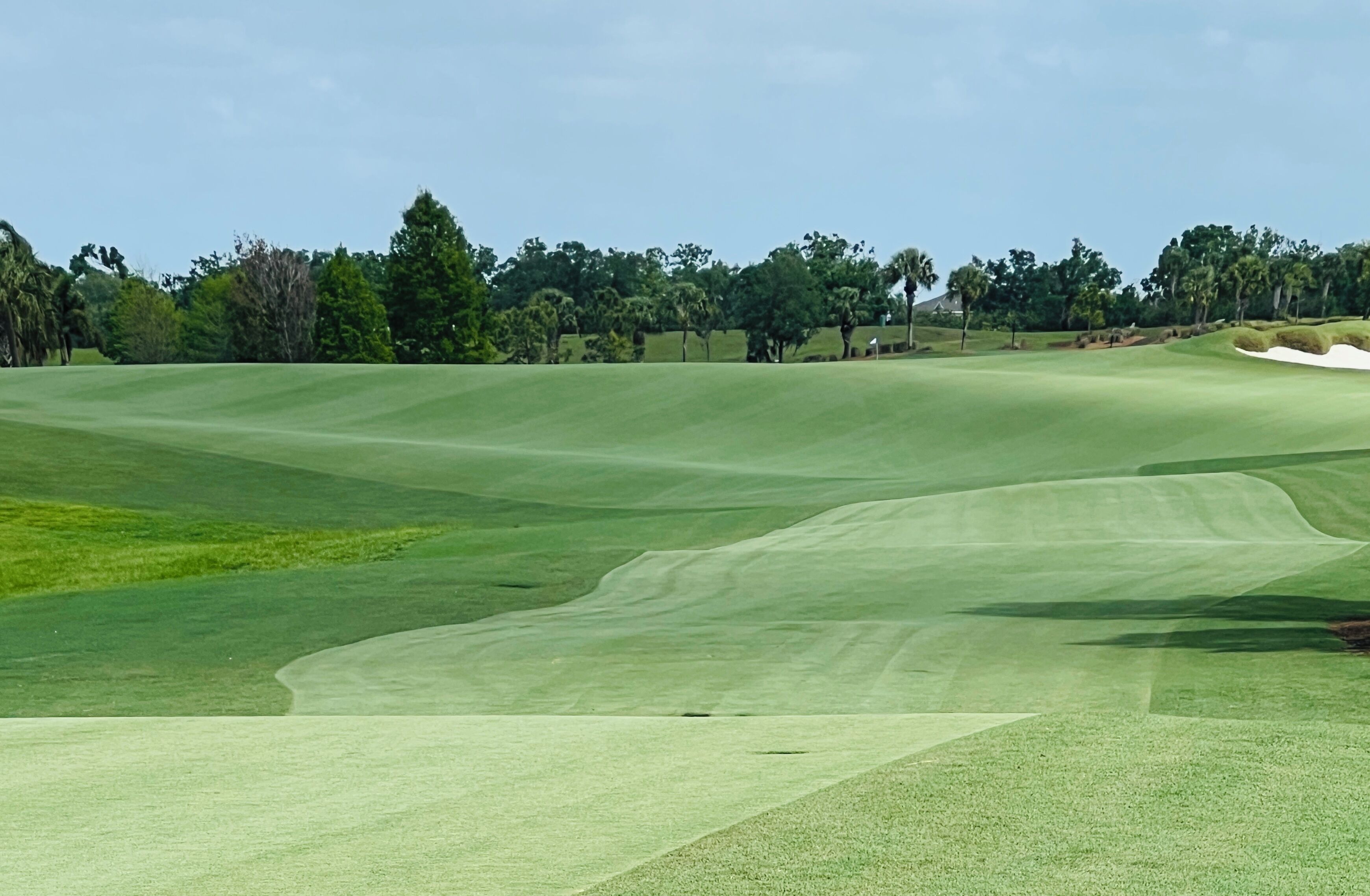 Ein Golfplatz mit sanften grünen Hügeln und Sandbunkern.