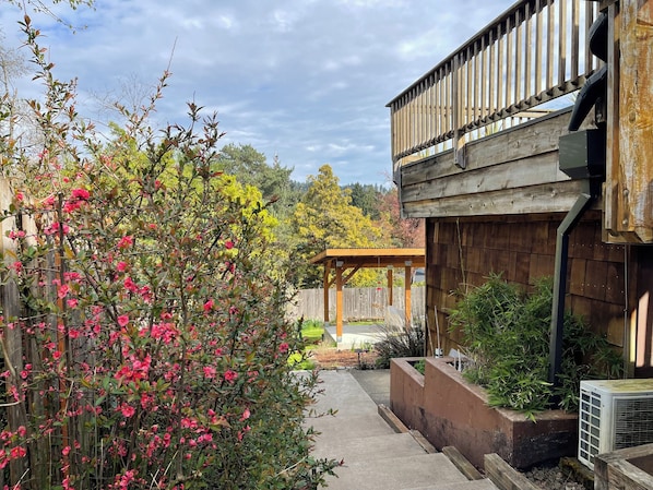 A wooden deck with a pergola, a garden with flowering plants, and a brick planter with greenery.