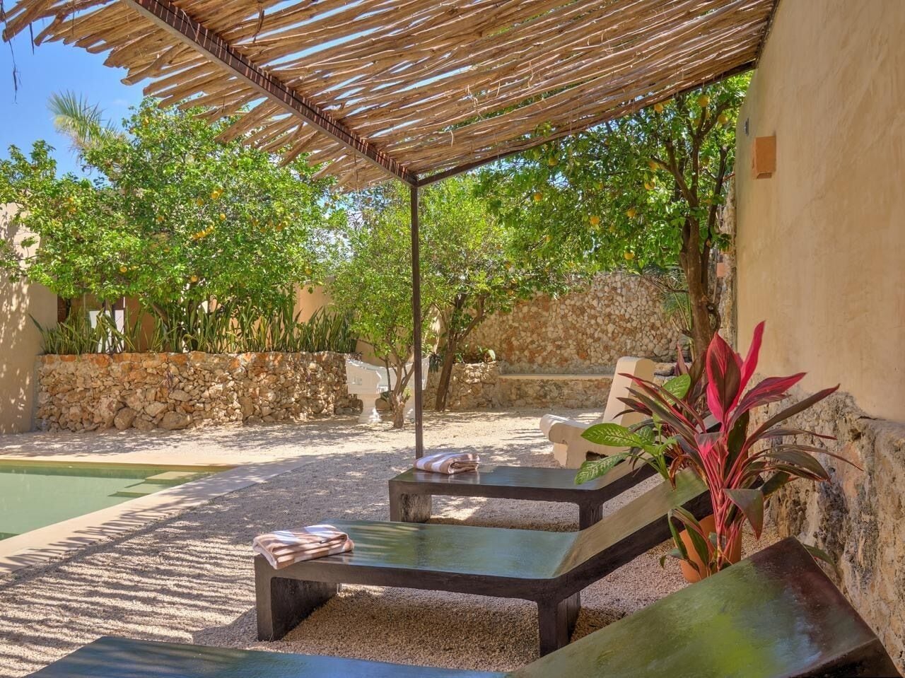 Suite superior, patio, vista al jardín | Áreas de la propiedad
