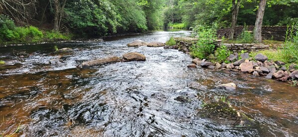Un río serpenteando por una zona boscosa con rocas y vegetación.