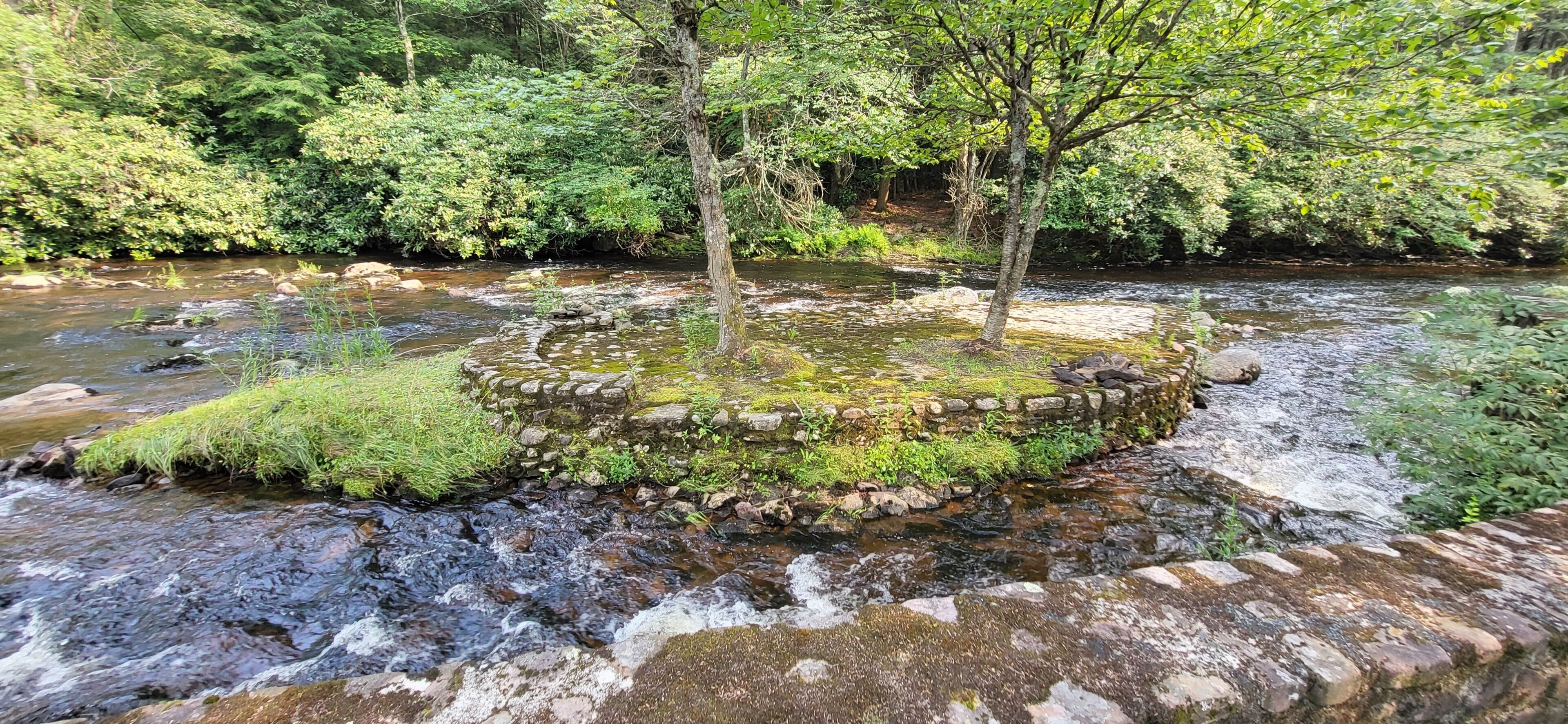 Une fontaine en pierre, avec un bord circulaire également en pierre, entourée de verdure et d’arbres.