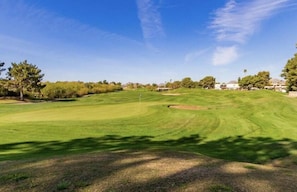 Ein Golfplatz mit blauem Himmel, Bäumen und einem gepflegten Grün.