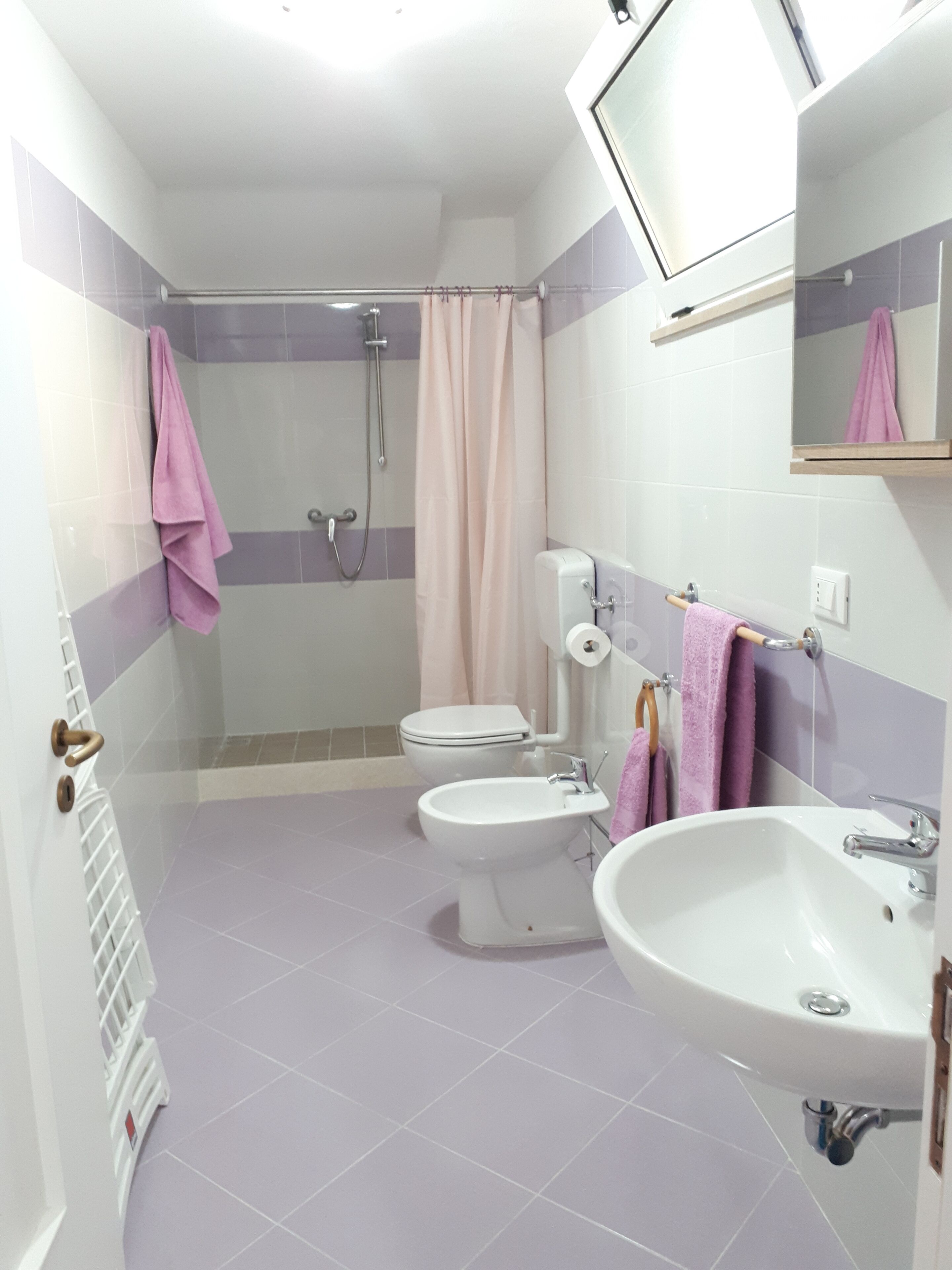 Shower, hair dryer, bidet, towels