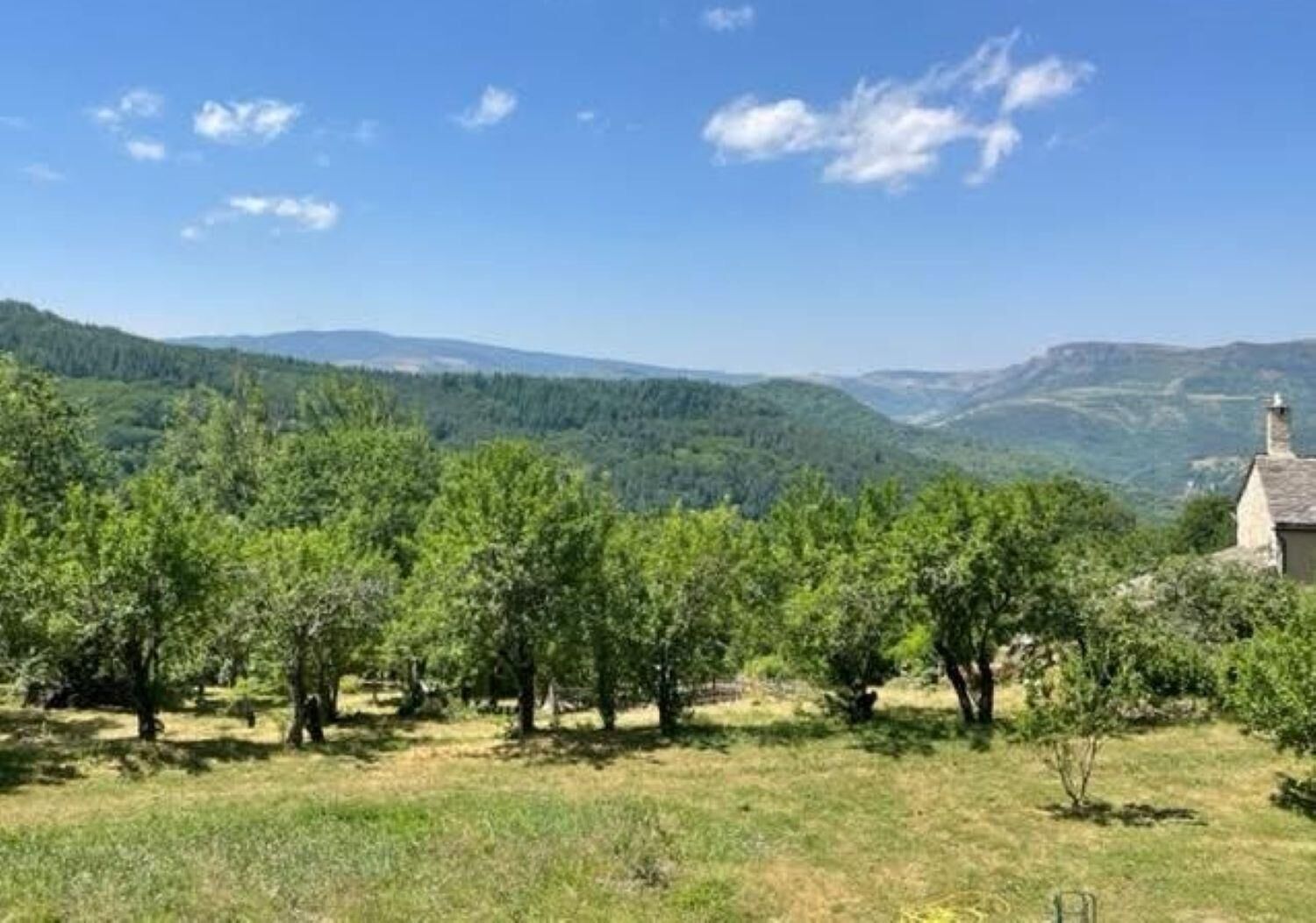 Ländliche Landschaft mit Bäumen, einem Gebäude und sanften Hügeln in der Ferne.