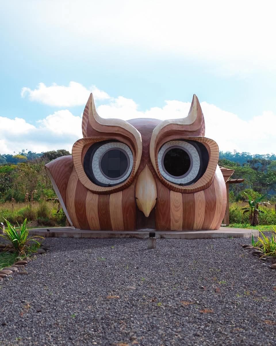 Una gran escultura de madera de un búho con un camino de grava delante.