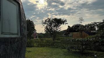 Luxury Cabin, Mountain View | Property grounds