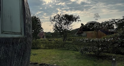 Animal Glamping