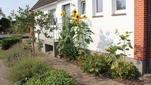 A white house with a brick section, a balcony, and sunflowers in the garden. - Family-friendly Stay, Ostsee (Fehmarn)