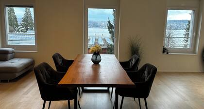 Lake view apartment in Wollishofen