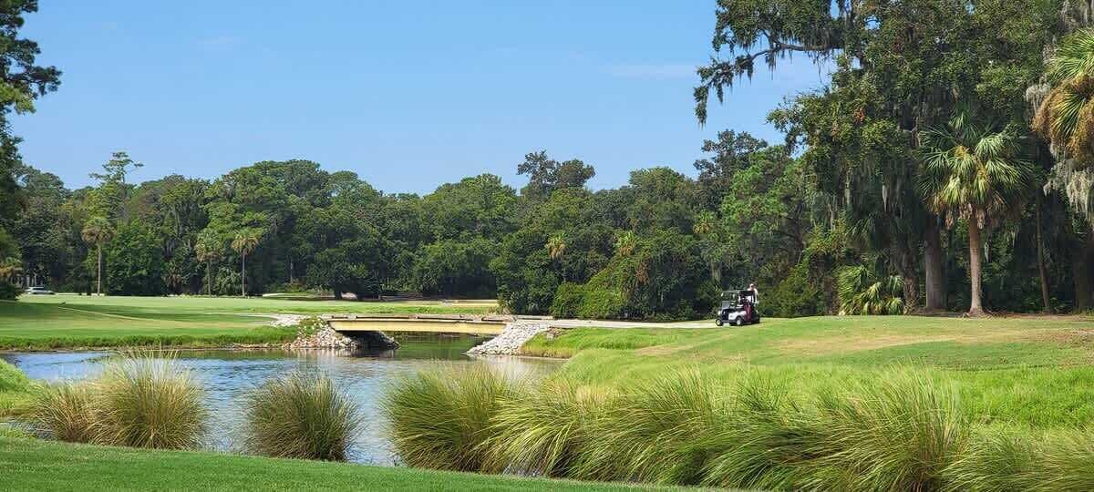 A golf course with a pond, a bridge, and a golf cart.