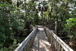 Una passerella in legno con ringhiere metalliche, immersa in un lussureggiante ambiente naturale e alberi.