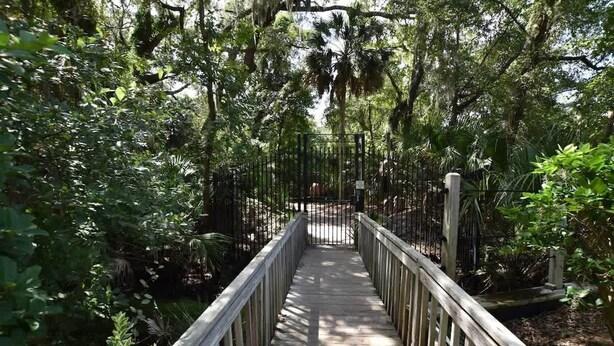 A wooden boardwalk with metal railings, surrounded by dense greenery and trees. - Shipyard Escape, Beach Access, Pool, Golf & Lagoon Views (Hilton Head Island)