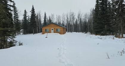 Peaceful Cabin Minutes from Soldotna and the Kenai River