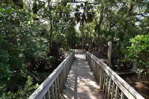 A wooden boardwalk with metal railings, surrounded by dense greenery and trees. - Hilton Head Haven, Pool, Free Parking & Beach Access (Hilton Head Island)