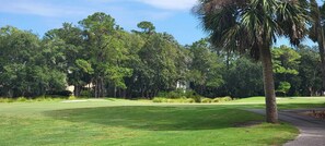 A golf course with a clear path, surrounded by dense trees and a palm tree. - Brigantine Quarters Bliss, Scenic Shipyard, Pool & Beach Access (Hilton Head Island)