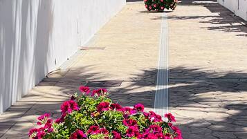 Áreas de la propiedad