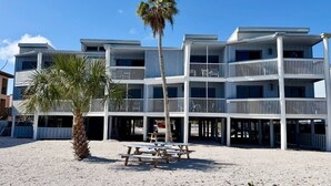 A multi-story hotel with balconies, a palm tree, and a picnic table. - Bayfront 2-Bedroom Condo with Private Beach - 314 (Englewood)