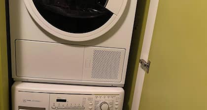 Discover Swiss With its Cultural