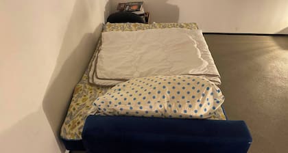 Discover Swiss With its Cultural