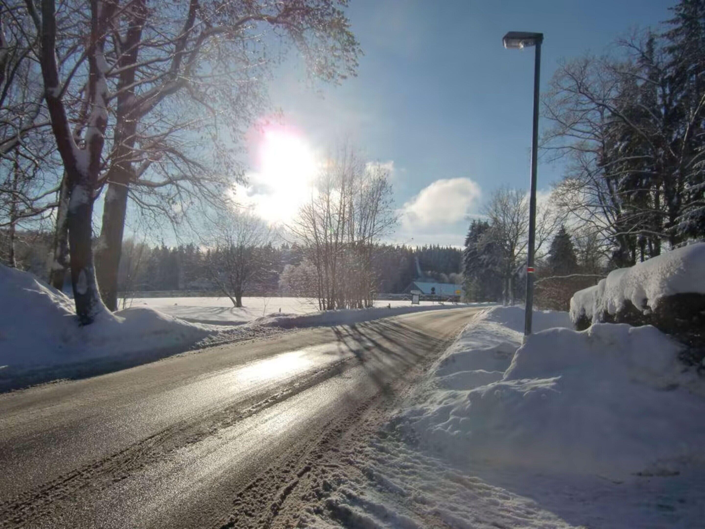 Eine schneebedeckte Straße mit einer Straßenlaterne, Bäumen und einem wolkenlosen Himmel.