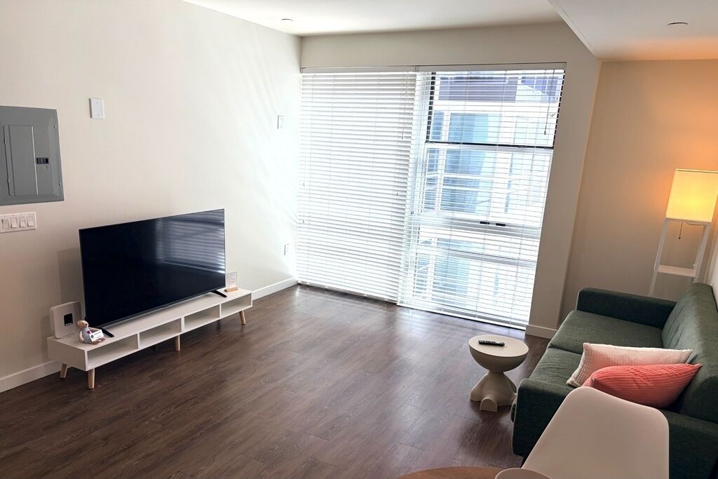 Deluxe Apartment, 1 Queen Bed, City View | Living area