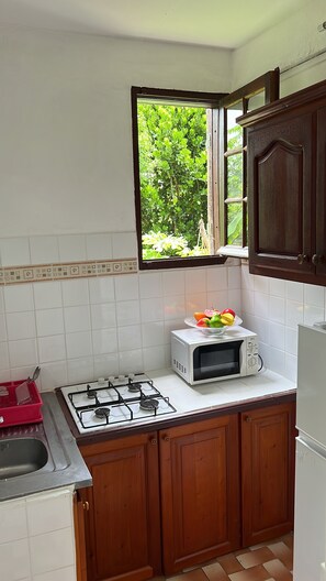 Private kitchen - T2 with all comforts in Gosier peaceful country setting (Le Gosier)