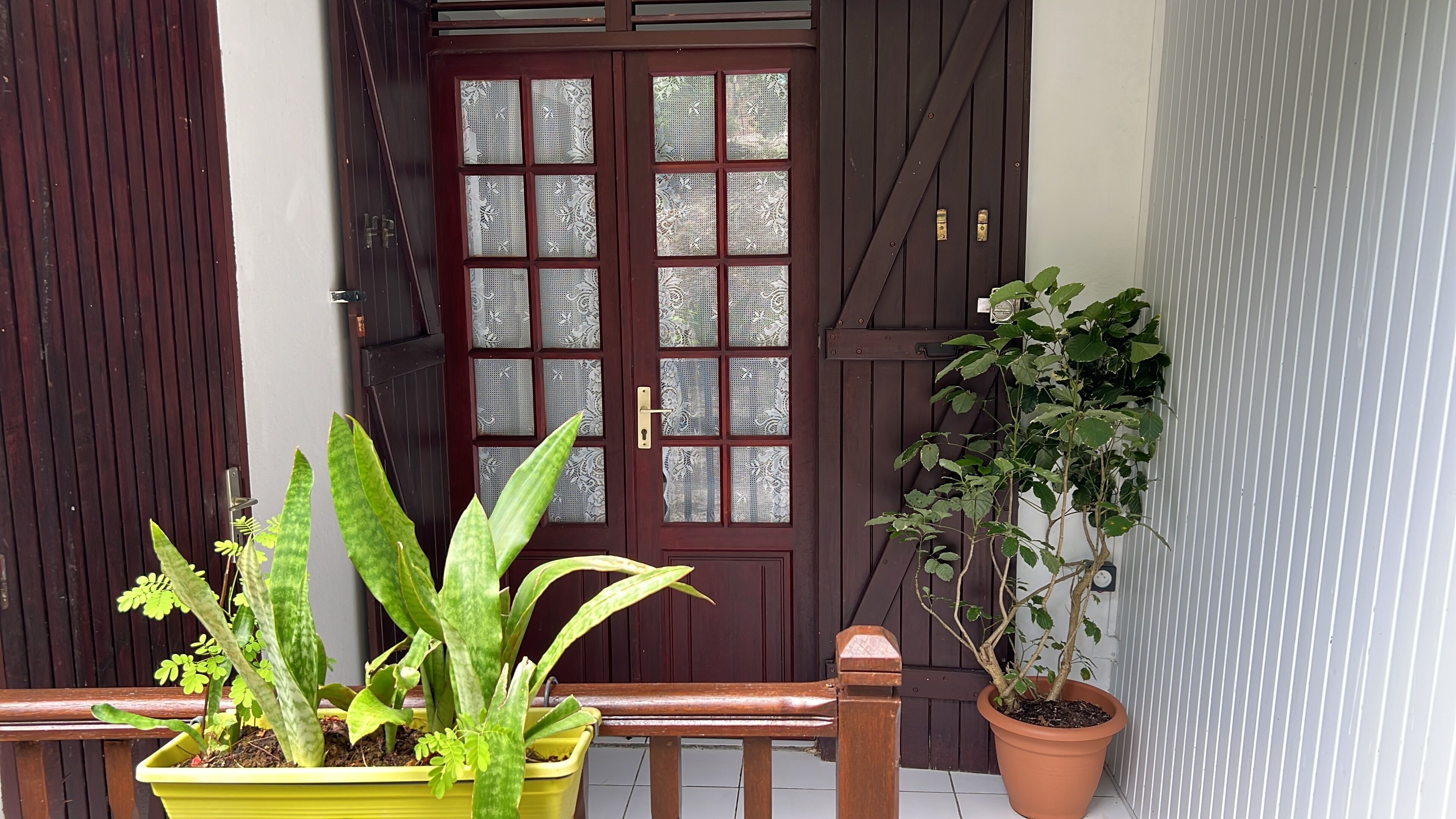 Una puerta de madera con paneles de vidrio, un banco y plantas en macetas al frente.