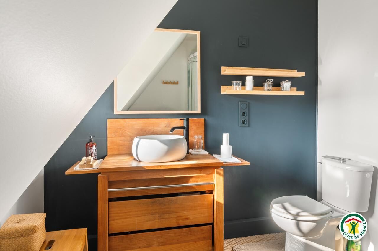 Une salle de bain moderne avec un meuble-lavabo en bois, un grand miroir, un lavabo blanc et des toilettes.