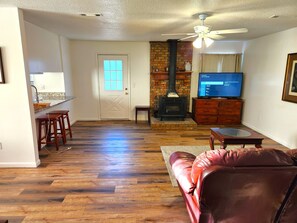 TV, fireplace, books - Hidden Glen 3/2 House West Dothan near Park (Dothan)
