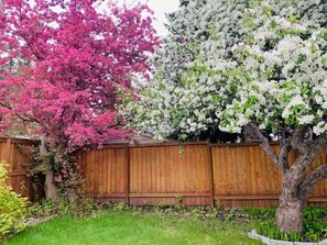 Property grounds - New | Cozy Retreat | Walk UofC | 13m DT | 16m Airport | Patio Parking Games BBQ (Calgary)