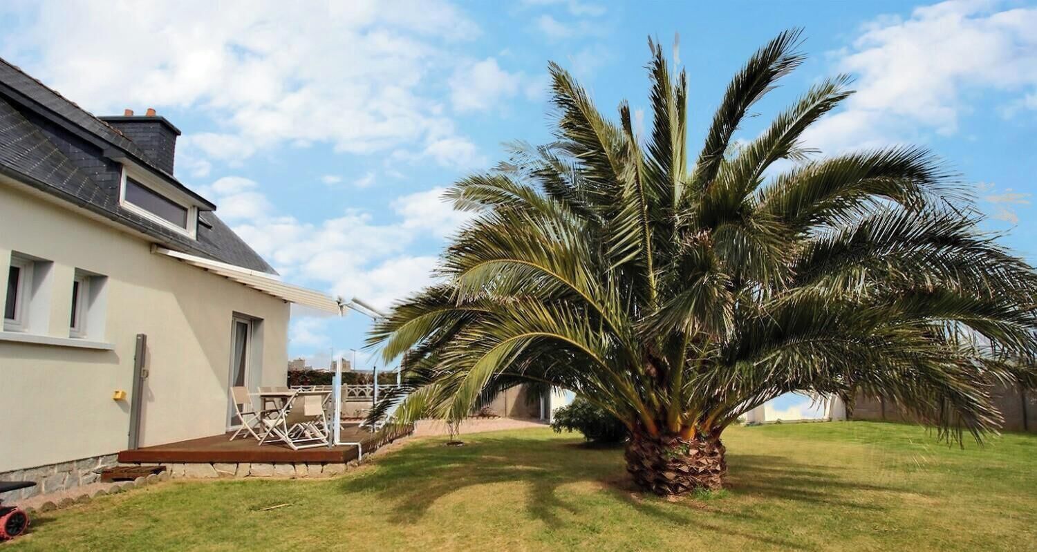 A house with a palm tree in the yard, a deck, and a clear sky.