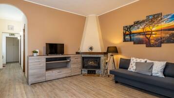 Fernseher, Kamin