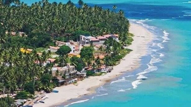 A coastal area with a beach, palm trees, and a road curving along the shore. - Holiday Ranch (Japaratinga)