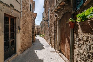 Property grounds - House "Ca'n Gori" - Valldemossa (Valldemossa)